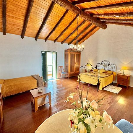 Guanche 'Casa Rural Canaria' 圣米格尔德阿沃纳 外观 照片